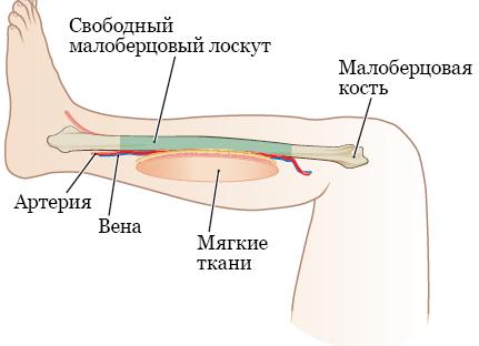 На тонкой верёвке | Стихи о том, что должно оставаться скрытым от глаз