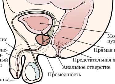 «Лишь месяц тьмы»… Новое стихотворение