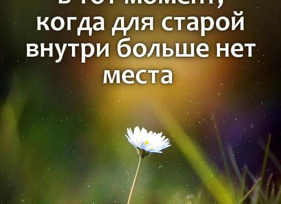 Новая жизнь